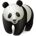 AnimalBear