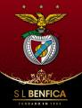 davidsilva20