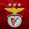 pereira32
