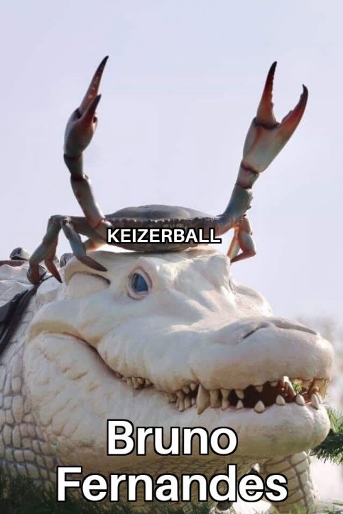 Alligator and Crab 19022019124455.jpg