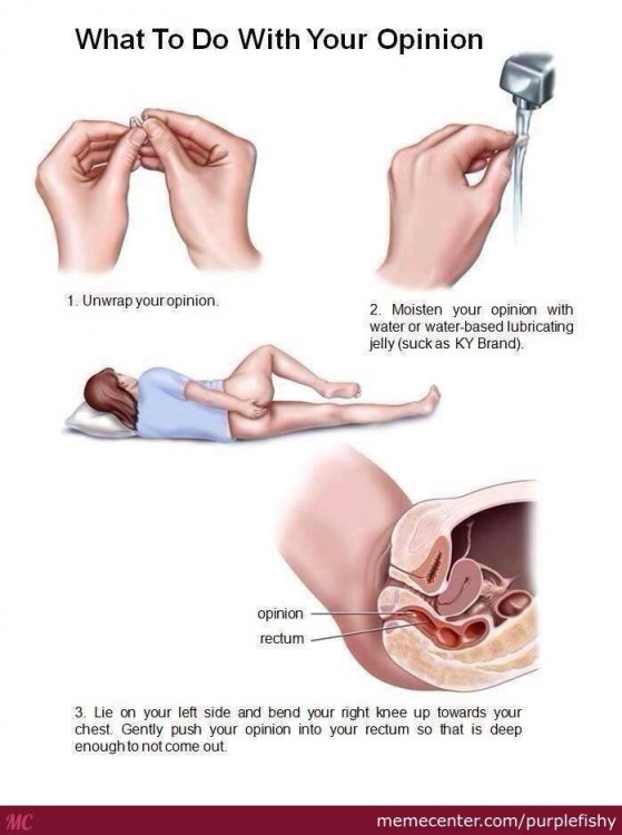 put-your-opinion-in-your-rectum_o_2608423.jpg