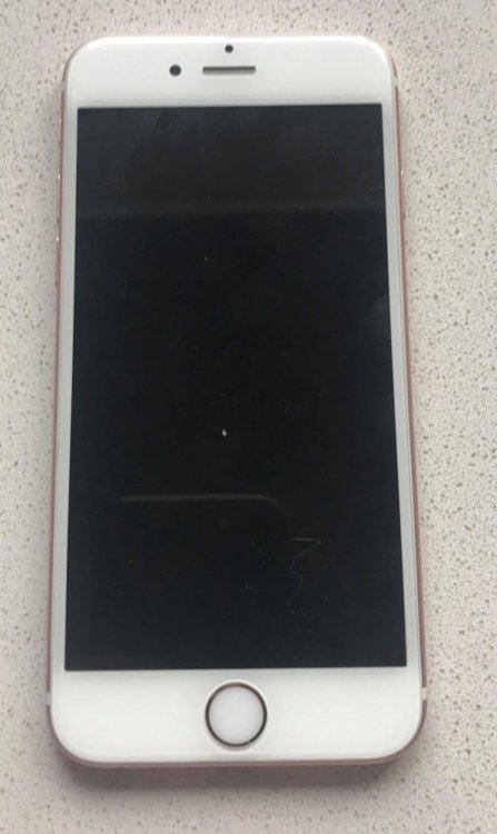 72435131_2394418610814853_1049013116001583104_n2.jpg