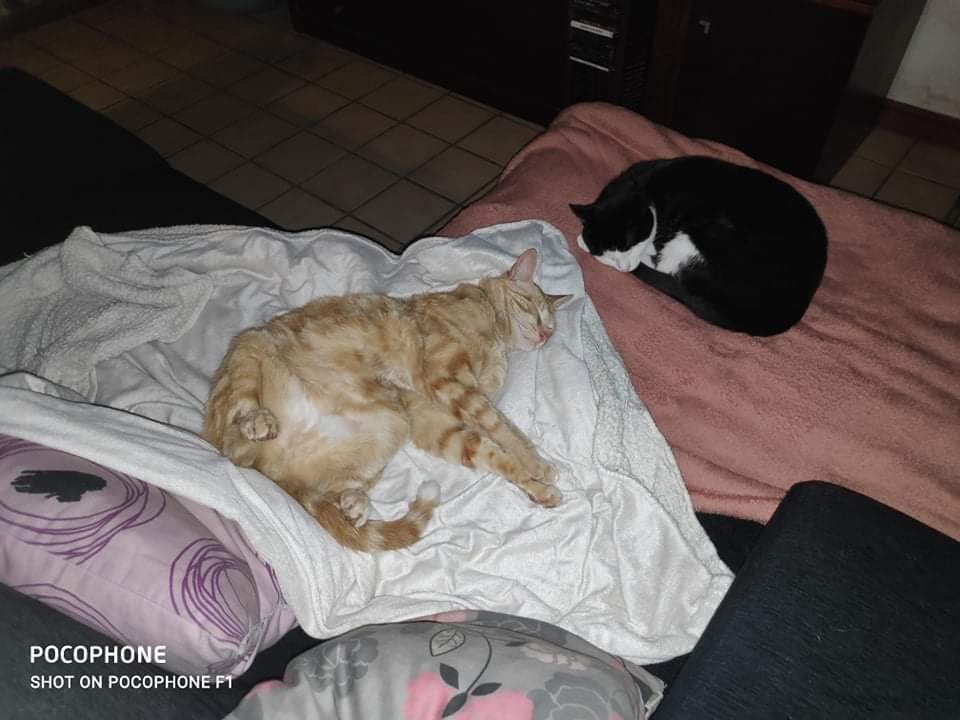 received_1170023096666298.jpeg.ba650123f2431df3792ab9c014d79a33.jpeg