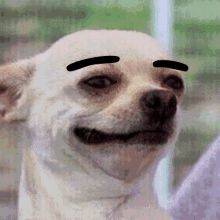received_492934564858152.gif.7395265eba1f7b6bb29e2d5bbf440099.gif