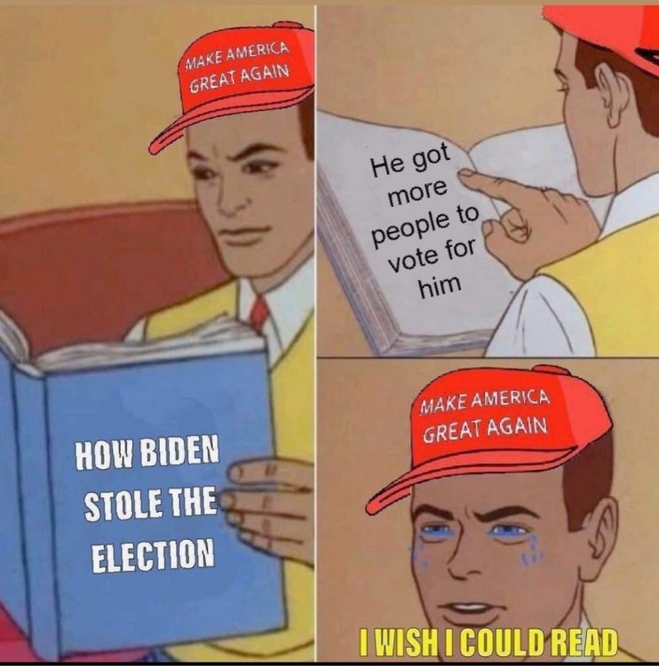 1610060356289.jpg