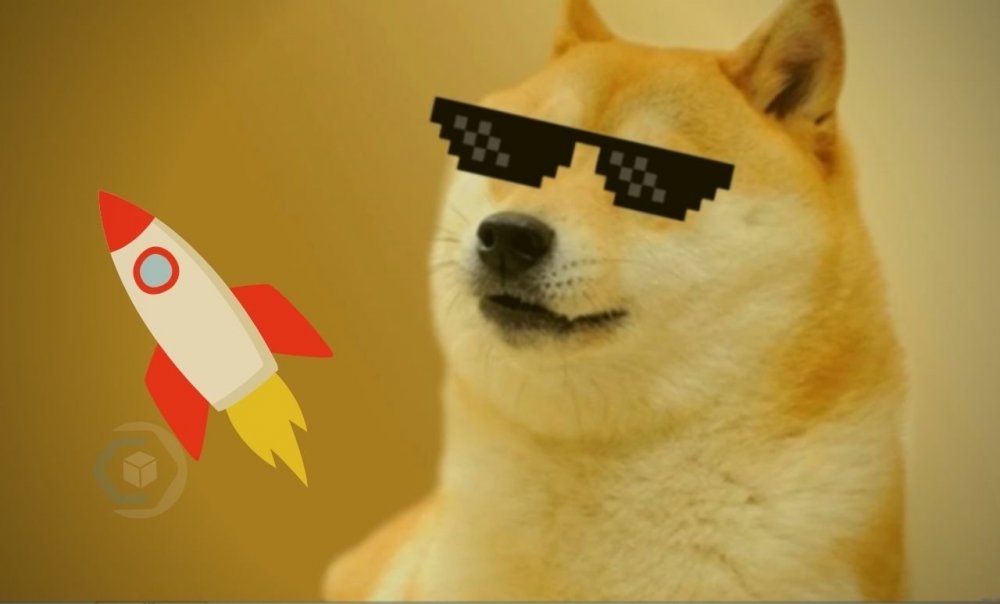 doge.thumb.jpg.f02f906ca42733cd01a837c50eb2546c.jpg