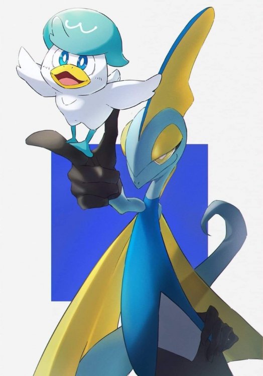 i.jpg