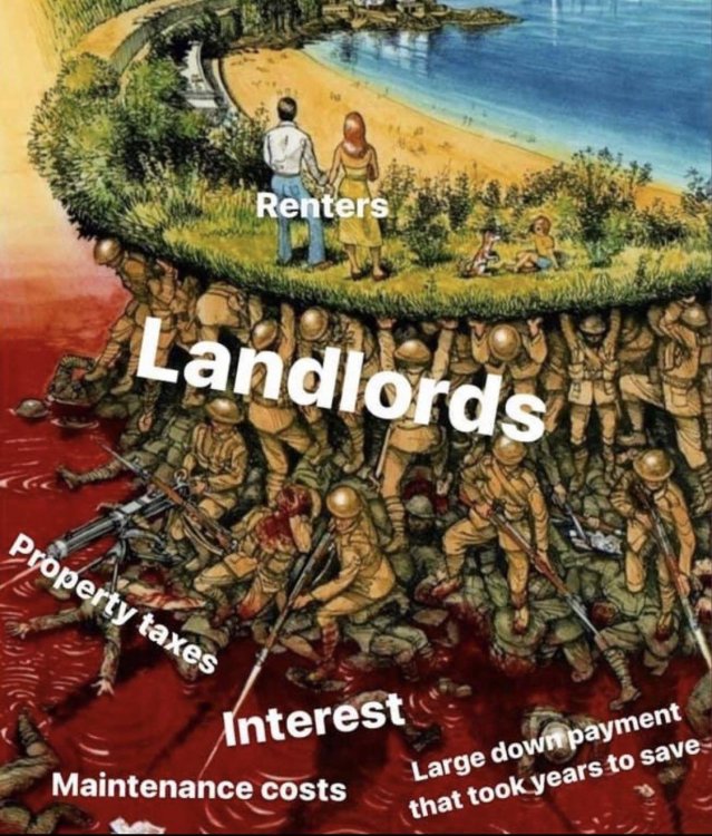 on0dy7ydv8ja1.jpg
