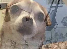 image.jpeg.3e7fb651c3929beaac972681fd41936f.jpeg