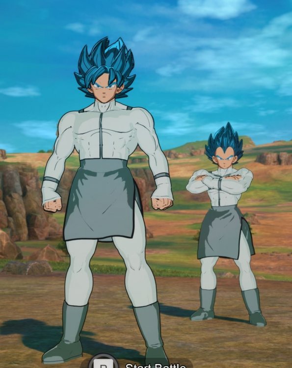 Goku-Vegeta-Vilt.thumb.jpg.ca6ef93cef8789d41ef0ae9aa49926ea.jpg