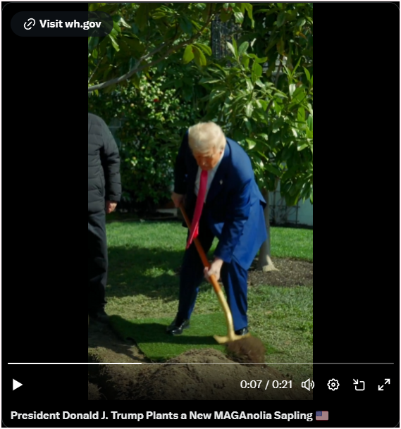 image.png.3aec394705b82b48902cd4b28cd17f02.png