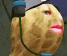 burnt-peanut-side-eye.gif.9ca6f98678b057047b904a2442fbd73d.gif