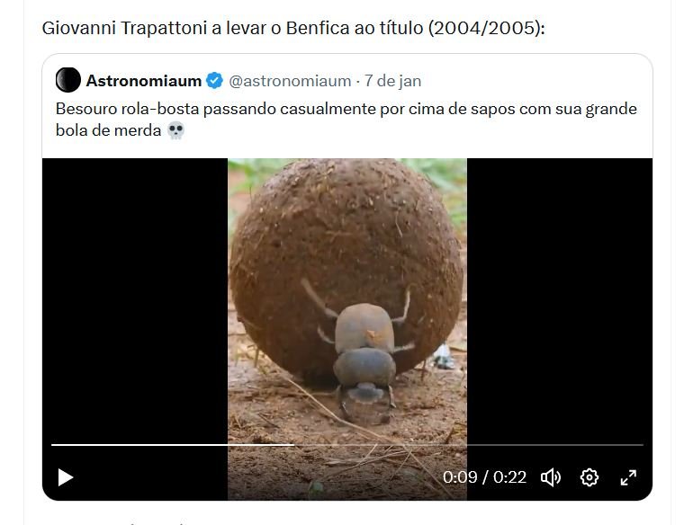 image.jpeg.4013bebb6acefae5ba912447f12da2f7.jpeg