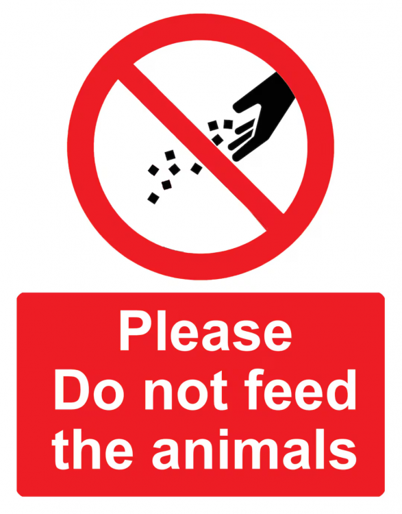 image.thumb.png.0d7519db57522872ec3d0cb9f1ef70fe.png