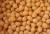 Chickpea
